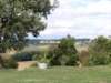 Photo Number 7
